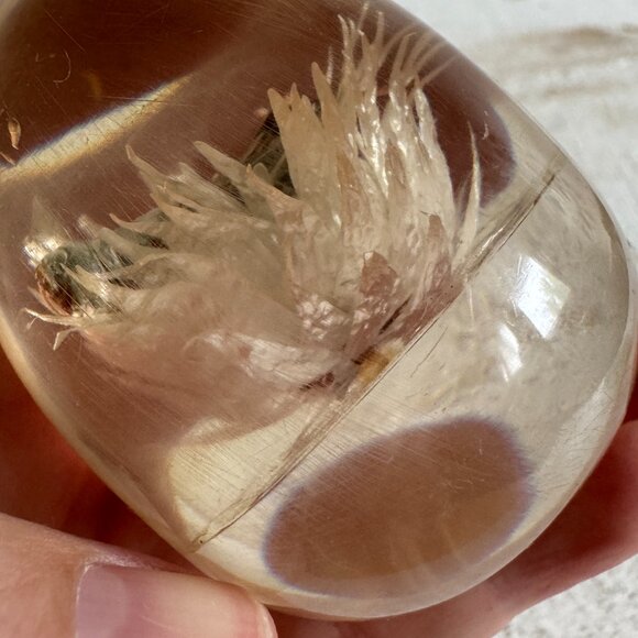 Vintage Lucite Acrylic Paperweight Decor with White Strawflower and Real Bug - Picture 10 of 10